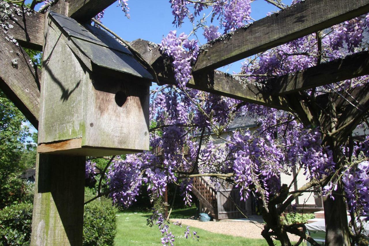 Les Bouts De Ralle Chambre D'Hotes Sainte-Osmane Exterior foto